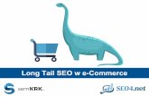 Long Tail SEO w e-commerce