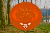 Into the wild - warsztaty przyrodnicze