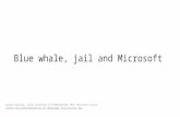 Blue whale, jail and Microsoft