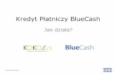Jak działa Kredyt Płatniczy BlueCash?