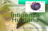 Influenza humana