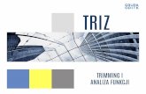 TRIZ Trimming i Analiza Funkcji