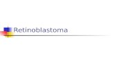 05. retinoblastoma 2013