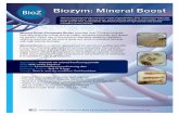 Biozym-Mineral Boost