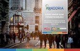 Xandoria - Probably The Best Boutique Consulting