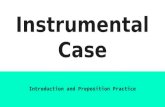 Instrumental Case Work
