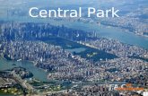 Central Park2