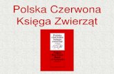 Polska czerwona księga zwierząt