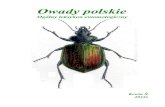 Owady polskie - · PDF fileWstęp: Czym właściwie są owady i jaką rolę pełnią w naszym życiu? Co dzięki nim zawdzięczamy i czy są one wyłącznie pożyteczne? Jakich jest