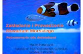 Zakładanie i Prowadzenie Akwarium Morskiegomagicthechemist.com/4nanoreef/zakladanie_akwarium.pdf · Moje do świadczenia z akwarystyk ą morsk ą: •270l – pierwsze akwarium morskie,