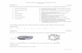 Zadanie 1. - Zespół Szkół nr 5 w Płocku biologia.pdf · Komórkę roślinną przedstawia rysunek B. Argumenty: obecność jądra komórkowego, obecność chloroplastów, obecność