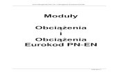 Moduły Obciążenia - INTERsoft · PDF fileObciążenie śniegiem wg PN-EN 1991-1-3:2005 Eurokod 1 ..... 15 010-011.4.6.4. Obciążenie wiatrem wg PN-EN 1991-1-4 Eurokod 1