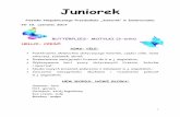 Juniorekprzedszkole-juniorek.com.pl/wp-content/uploads/2016/04/gazetka... · Yellow- żółty Blue- niebieski Red- czerwony Green- zielony ... Tiger- tygrys Toucan- tukan Stripes-