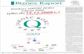 Biznes Raport DODATEK INFORMACYJNO - …g.infor.pl/p/_wspolne/pliki/135000/br233_135180.pdf · kumentów (OCR/ICR/OMR), archiwizacji i obiegu doku-mentów (DMS, CMS), systemy zabezpieczeń