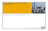 Service Management mitSAP ERP – EinÜ · PDF file© SAP 2009 / Service Management mit SAP ERP / Gerd Hartmann / Seite 2 SAP ERP Aftermarket Sales and Service – Überblickund Einordnungin