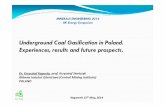 Underground Coal Gasification in Poland. … 2014, Kegworth, 15-05-14, (pdf...Underground Coal Gasification in Poland. Experiences, results and future prospects. ... coal seam length: