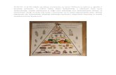 sp4krosno.files.wordpress.com · Web view10.02.17r. w kl IIb odbyła się debata uczniowska na temat "Zdrowie na talerzu w zgodzie z piramidą żywienia", w trakcie której dzieci
