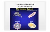 Podstawy immunologii Układ limfatyczny - pum.edu.pl · Immunologia - nauka o odporności ØOdporność – reakcja komórek i tkanek na obce substancje lub patogeny, jak mikroorganizmy