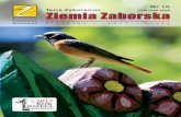 Nr 10 Terra Zaborensis Ziemia Zabo ka - ztn.com.pl ZIEMIA ZABORSKA 2017.pdf · 6 lip ca 2013 w Bru sach − ka szub ski lu do wy ma - larz, architekt, filozof, ... Er go Are nie w