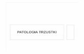 Patologia trzustki - Katedra Patomorfologii UJCMpatomorfologia-cmuj.pl/sites/default/files/Patologia... ·  · 2014-01-22• 3. Typ Ŝoł ądkowo-dołeczkowy: MUC1 (-) i MUC2 (-),