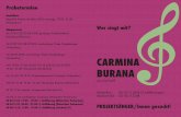 CARMINA BURANA - alpha-cappella · Wer singt mit? CARMINA BURANA von Carl Orff Winterthur: SA 03.11.2018 (2 Aufführungen) Stockach (D): SO 04.11.2108 PROJEKTSÄNGER/Innen gesucht!
