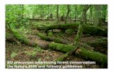 EU processes addressing forest conservation:ł Pawlaczyk ... · EU processes addressing forest conservation: ... • th i t t ti t f bl the maintenance or restoration at a favourable