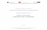 HIGH VOLTAGE LABORATORY TRAINING - … in Electrical Power... · Wrocław University of Technology Control in Electrical Power Engineering Krystian Leonard Chrzan HIGH VOLTAGE LABORATORY