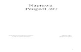 Naprawa Peugeot 307 - setap.pdg.plsetap.pdg.pl/307/Naprawa_Peugeot_307.pdf · Naprawa Peugeot 307 Pomysłodawca i wykonawca napraw: Zdjęcia i tekst: KAROL GRZEGRZÓŁKA MARCIN KĘPKA