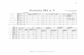 Sonata III a 5 Tomaso Albinoni op. 2 Nr. 5 Grave tr fconquest.imslp.info/files/imglnks/usimg/8/87/IMSLP31859-PMLP15634... · Albinoni - Sonata III a 5 op. 2 Nr. 5 Sonata III a 5 Tomaso