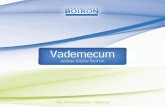 Vademecum - boiron.pl · RHINALLERGY® Skład jakościowy i ilościowy: 1 tabletka 300 mg zawiera: Substancje czynne: Allium cepa 5 CH 0,5 mg; Ambrosia artemisiaefolia 5 CH 0,5 mg