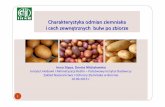 Charakterystyka odmian ziemniaka i cech zewnętrznych …pw.ihar.edu.pl/assets/Uploads/Zad-nr.-1.2-prezentacja-wykladu-3-36... · czerwona barwa skórki: Flaming, Bellarosa, Rosalind,
