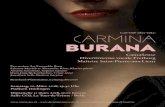 Programmheft Carmina Burana - divertimentovocale.ch · 1 Carmina Burana Carl Orff (1895–1982) CantaSense Divertimento vocale Freiburg Maîtrise Saint-Pierre-aux-Liens Samstag, 10.