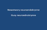 Nowotwory neuroendokrynne Guzy neuroednokrynnepatologia.cm.umk.pl/pliki/new/nowotwory neuroendokrynne.pdf · Wyrostek robaczkowy - karcinoid • Appendix is common site for endocrine