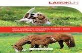 Testy alergiczne dla psów, kotów i koni - LABOKLIN Polskapl.laboklin.info/wp-content/uploads/laboklin_testy_alergiczne_A4.pdf · W razie pytań bądź wątpliwości chętnie służymy