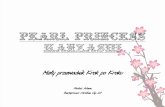 Mały przewodnik Krok po Kroku - kanzashi.weebly.comkanzashi.weebly.com/uploads/5/5/3/4/5534627/how_to... · Pearl Princess Tsumami kanzashi jest techniką, która wymaga wprawy,