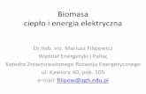 Biomasa ciepło i energia elektryczna - home.agh.edu.plhome.agh.edu.pl/~romus/OZE/Wyklady/Czyste%20energie%202012/Cz… · Kotły na biomasę w tradycyjnych systemach grzewczych,