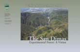 The San DimasThe San Dimas - US Forest Service · The San Dimas Experimental Forest (SDEF) offers a unique oasis of opportunity for providing an internationally recognized wildland-urban