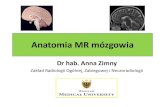 Anatomia MR mózgowia - radiologia2016.syskonf.pl · Anatomia MR mózgowia Dr hab. Anna Zimny Zakład Radiologii Ogólnej, Zabiegowej i Neuroradiologii