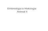 Embriologia e Histologia Animal IIporteiras.s.unipampa.edu.br/biotech/files/2011/04/Sistema... · Embriologia e Histologia Animal II. HISTOFISIOLOGIA DO SISTEMA ENDÓCRINO Daniela