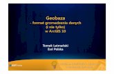 -format gromadzenia danych (i nie tylko) w ArcGIS10konferencja.esri.pl/sites/default/files/Geobaza-format gromadzenia... · • Własny model danych ArcGIS • Kompleksowy model danych