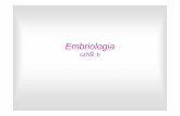 IWLA Embriologia II.2013 [tryb zgodności] - pum.edu.pl · Embriologia część II. Konsekwencje zapłodnienia qStymulacja oocyta II rzędu do ukończenia II podziału mejotycznego