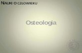 Osteologia - archeo.uw.edu.pl · KOŚCILUDZKIE I ZWIERZĘCE ROZRÓŻNIANIE Morfologia: •kooczyny czworonożne dwunożne Podobnej długości Górne krótsze niż dolne Często wydłużone