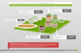 Dieta wegetariańska 2000 kcal [PDF 5,5 MB] - adst.mp.pladst.mp.pl/s/dieta/wegetarianska-2000_kcal.pdf · nedycyny žywienia med na czna "ej diety. w tym polowa zielonych warzyw lišciastych
