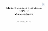 Moduł Sprzedaż i Dystrybucja SAP ERP Wprowadzenie · SAP ERP Wprowadzenie ... SD i FI ), •dane Jednostki Gospodarczej, •dane Sprzedaży i Dystrybucji. Funkcje partnerów. Dane