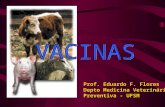 Slide sem títulocoral.ufsm.br/dmvp/images/vacinas1.ppt · PPT file · Web view2013-12-11 · Prof. Eduardo F. Flores Depto Medicina Veterinária Preventiva - UFSM * * FAGOCITOSE