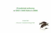Przedmiot ochrony w OSO i SOO Natura 2000 · Przedmiot ochrony w obszarach Natura 2000 obszary specjalnej ochrony ptaków • gatunki wymienione w zał. I i II Dyrektywy Rady 79/409/EWG