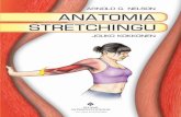 Anatomia stretchingu - studioastro.pl · 7 Powszechnie wiadomo, że elastyczne ciało ma pozytywny wpływ na pracę mięśni i stawów: zapobiega urazom, minima-lizuje bóle mięśni