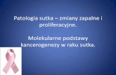 Patologia sutka – zmiany zapalne i proliferacyjne ...patologia.cm.umk.pl/pliki/2014_patomorf_lek_wykl_21_patologia sutka... · Patologia sutka – zmiany zapalne i proliferacyjne.
