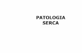 Patologia serca - Katedra Patomorfologii UJCMpatomorfologia-cmuj.pl/sites/default/files/III WLPatologia