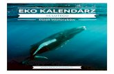 Pakiet edukacyjny - Dzień wielorybów · tyckiego walenia – krytycznie zagrożonego wy-ginięciem morświna (według obliczeń naukow-ców w Bałtyku jest ich niecałe 450). Wieloryby